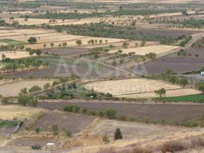 Продаю участок сельхоз назначения, 1 га Сокулук Село Кара сакал.