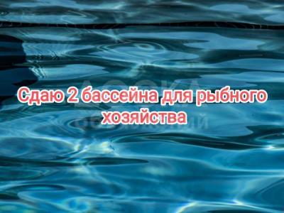 Сдаю 2 бассейна для рыбного хозяйства