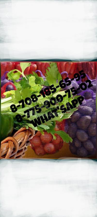 Овощная сетка оптом