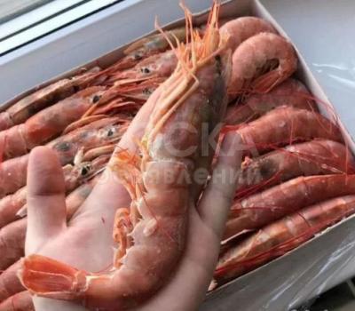 рыба и мре продукты