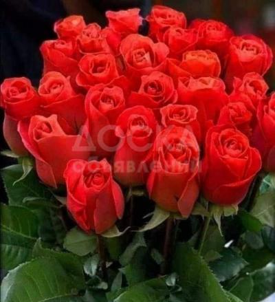 Репетиторство