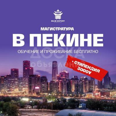 Бесплатное обучение в Китае