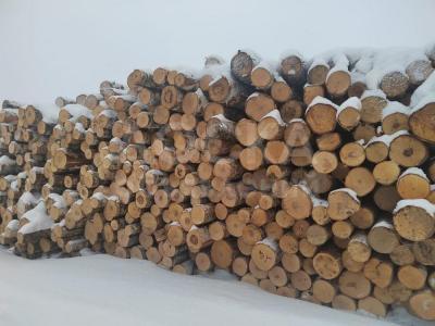 Березовый фанкряж (пиловочник) из Архангельской,
Тульской, Калужской областей.