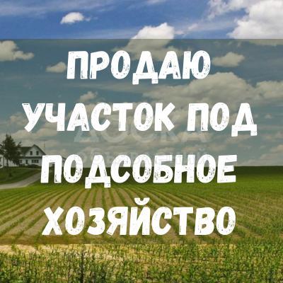Продаю участок сельхоз назначения, 13.6 га с. Жаны-Жер.