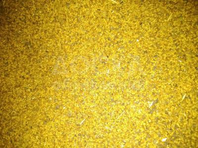 СЕМЕНА ЛЮЦЕРНА