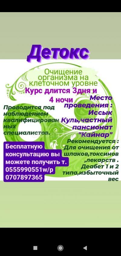 Программа детокс