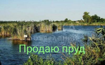 Продаю участок сельхоз назначения, 8 га Сокулукский район.