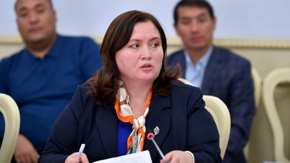 Замминистра социального развития Жылдыз Полотова