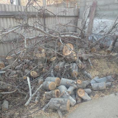 Продаю орех на дрова