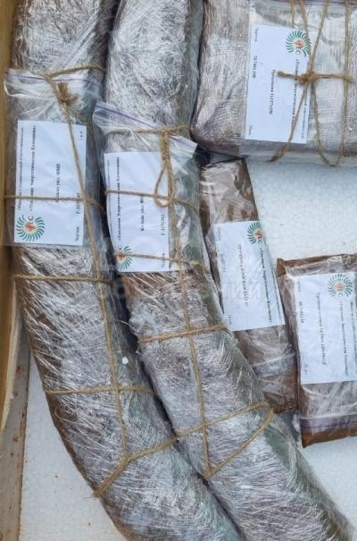 Концевые уплотнения цилиндров паровой турбины ПТ-80-130