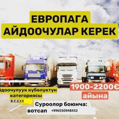 ТРЕБУЮТСЯ ВОДИТЕЛИ ДАЛЬНОБОЙЩИКИ С КАТ СЕ,ОПЫТ.В ПОЛЬШУ.