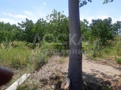 Продаю участок сельхоз назначения, 5 га Балыкчы.