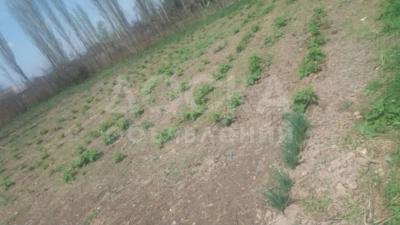 Продаю участок под строительство, 15 соток Село Кой-Таш.