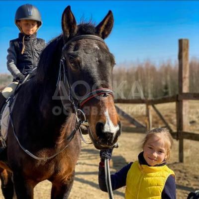 Прогулки на лошадях, верховая езда