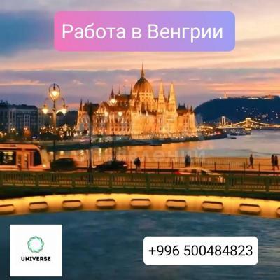 Трудоустройство в консервный завод Венгрии