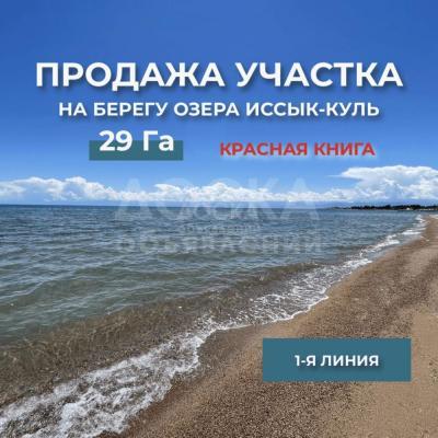 Продаю участок под строительство, 29 га Тамчы.