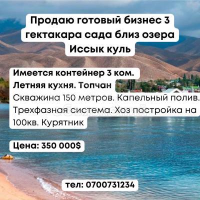 Продаю готовый бизнес 3 гектакара сада близ озера Иссык куль