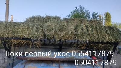 Тюки клевера первый укос