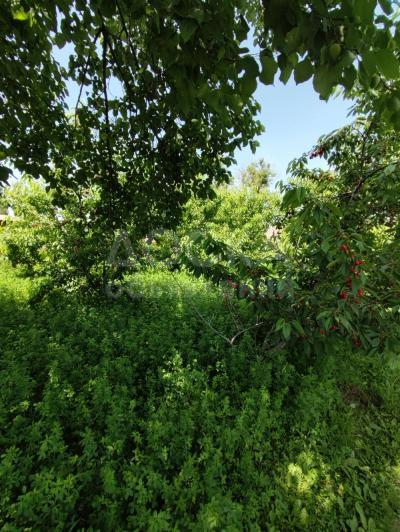 Продаю дом 3-ком. 76кв. м., этаж-1, 8-сот., стена другое, Благовещенка .