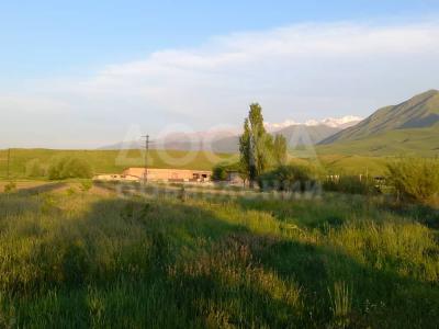 Продаю участок сельхоз назначения, 3 га С.Таш добе .