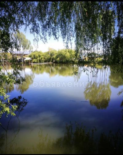 Продаю участок сельхоз назначения, 1 га Семеновка.