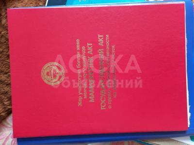 Продаю участок сельхоз назначения, 3 га Аламединский район .