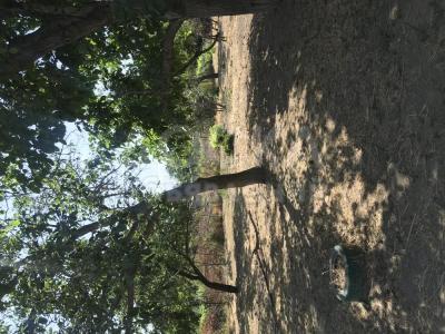 Продаю участок под строительство, 5 соток С.Военно-Антоновка.