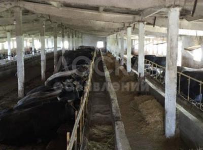 Продаю участок сельхоз назначения, 350 соток Темен-Суу.