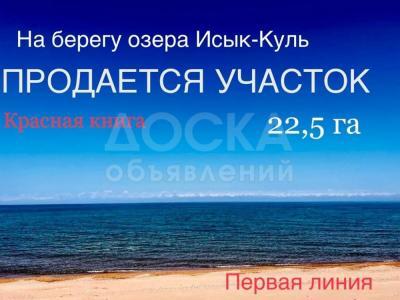 Продаю участок под строительство, 22 га  42°37'11.1"N 77°02'17.8"E.