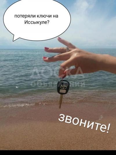 Аварийное вскрытие замков: Авто,сейф,Брон.дверь.