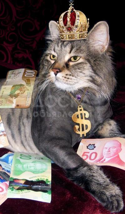 Экспресс кредит от частного лица без всяких предоплат