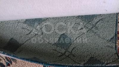 Палас (напольное покрытие, ковролин), цвет светло зеленый (салатный).
Размер 1.6м. x 3.0м