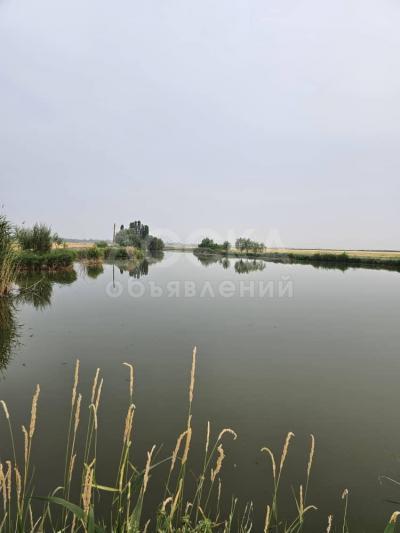 Продаю участок сельхоз назначения, 280 соток с.Сретенка.