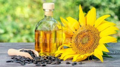 Продам масло подсолнечное