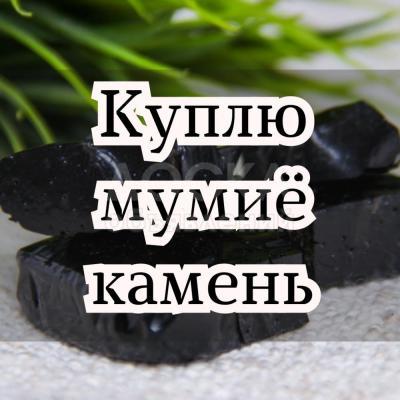 Куплю мумиё - камень!