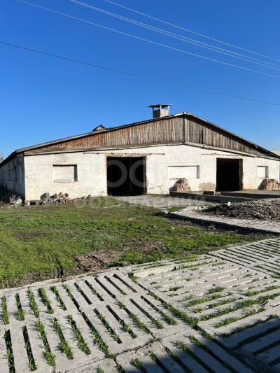 Продаю участок сельхоз назначения, 350 соток Ленинское.