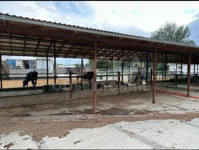 Продаю производственное помещение 19 гакв. м., кант.