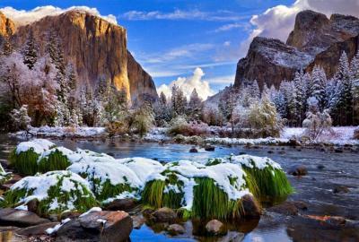 Репетиторство индивидуально : математика, русский язык , английский язык.