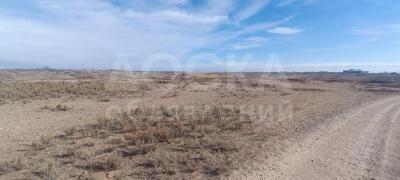 Продаю участок под строительство, 1 га Кош-Кол, Красная книга.