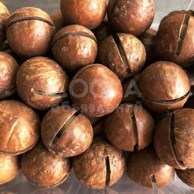 Макадамский орех оптом (от 16тн)