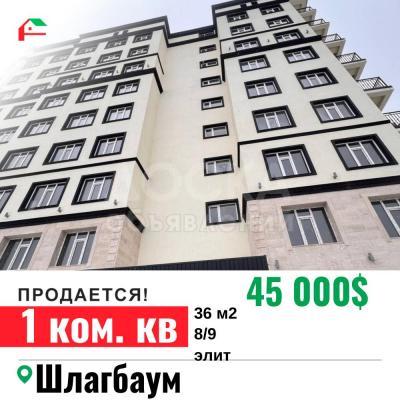 Продаю 1-комнатную квартиру, 36кв. м., этаж - 8/10, Шлагбаум .
