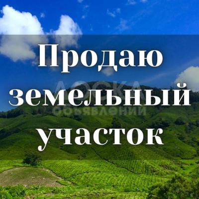 Продаю участок сельхоз назначения, 5 га с. Кызыл-Туу.