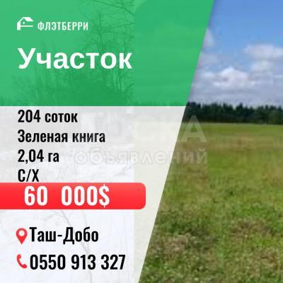 Продаю участок сельхоз назначения, 204 соток с. Таш-Добо.