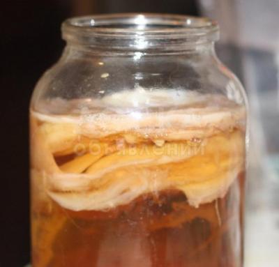 Чайный гриб.