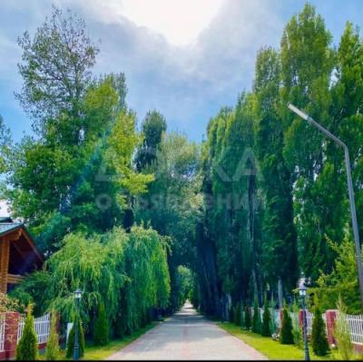 ЦО Радуга West
Сдается коттедж на главной тополиной алее у берега!!!!!