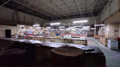 Орто- Сай р. . Орто- Сай р. .