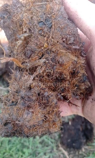 ДОСТАВКА СЫПУЧИХ МАТЕРИАЛОВ