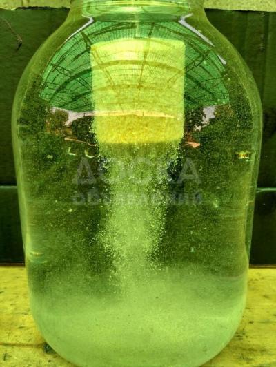 технопланктон