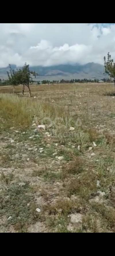 Продаю участок под строительство, 8 га село Чон-Сары-Ой.