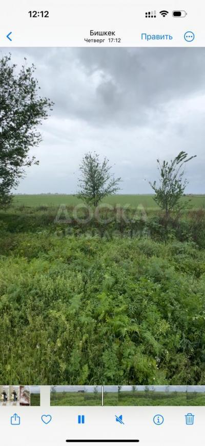 Продаю участок сельхоз назначения, 9 га Лебединовка.